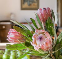 Cooee Cottage - Inverell Accommodation
