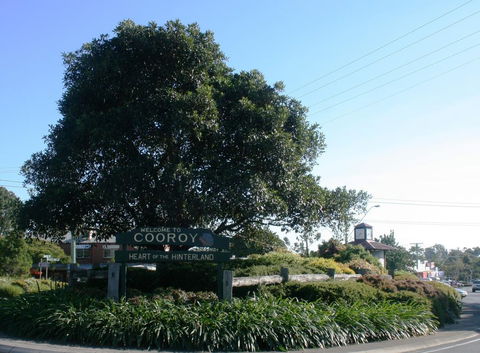 Cooroy Luxury Motel Apartments - Inverell Accommodation 2