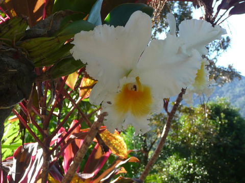 Coral Sea Views - Inverell Accommodation 2