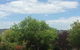 Costa Park Cottage Dio - Armidale - thumb 3