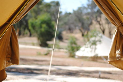 Cosy Tents - Daylesford - Inverell Accommodation 1