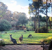 Countryside Retreat Spa Cottage Hepburn - Daylesford - Inverell Accommodation
