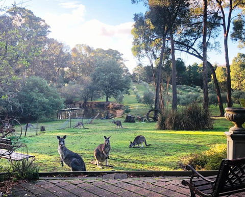 Countryside Retreat Spa Cottage Hepburn - Daylesford - Inverell Accommodation 0