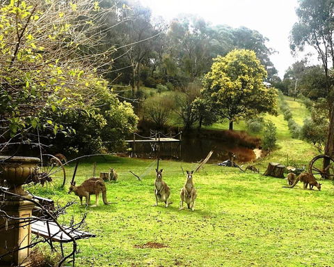 Countryside Retreat Spa Cottage Hepburn - Daylesford - Inverell Accommodation 1