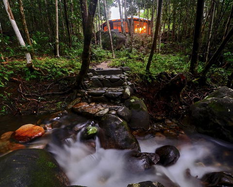 Daintree Cascades - Inverell Accommodation 0