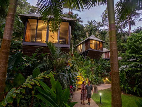Daintree Ecolodge - Inverell Accommodation 0