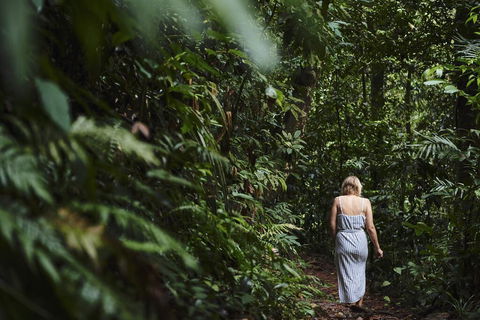 Daintree Ecolodge - Inverell Accommodation 2