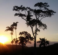 Daintree Holiday Homes - Yurara - Inverell Accommodation