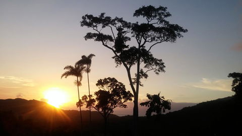 Daintree Holiday Homes - Yurara - Inverell Accommodation 0
