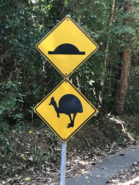 Daintree Magic - Inverell Accommodation 1
