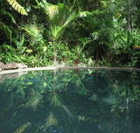 Daintree Rainforest Retreat Motel - Inverell Accommodation