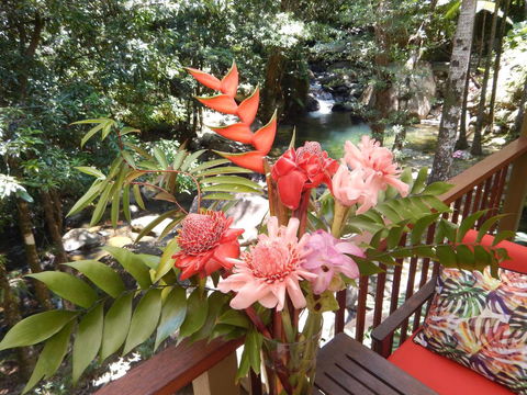 Daintree Secrets Rainforest Sanctuary - Inverell Accommodation 1