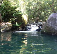 Daintree Secrets Rainforest Sanctuary - Inverell Accommodation