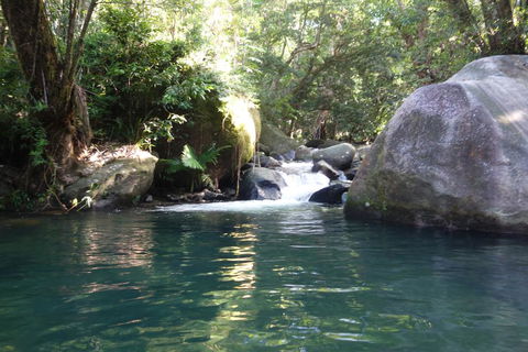 Daintree Secrets Rainforest Sanctuary - Inverell Accommodation 0