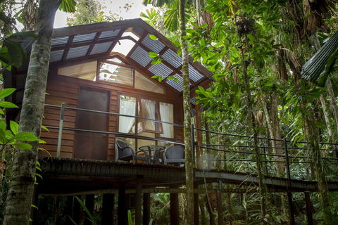 Daintree Wilderness Lodge - Inverell Accommodation 2