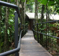 Daintree Wilderness Lodge - Inverell Accommodation