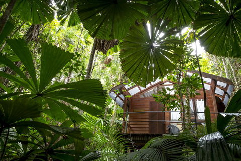 Daintree Wilderness Lodge - Inverell Accommodation 1