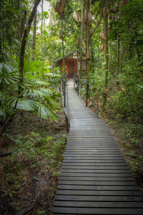 Daintree Wilderness Lodge - Inverell Accommodation 3