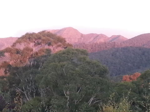 Day Dream Cottage - Inverell Accommodation 2