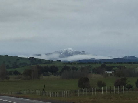 Day Dream Cottage - Inverell Accommodation 0