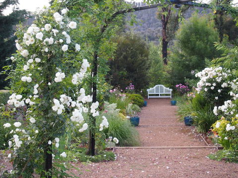 Delderfield Cottages - Inverell Accommodation 0