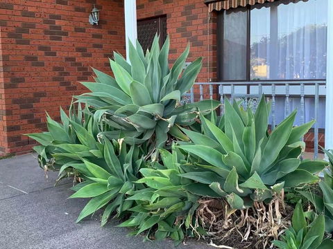 Delightful Bedroom In Bentleigh East - Inverell Accommodation 2