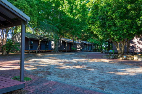 Dorrigo Mountain Holiday Park - Inverell Accommodation 1
