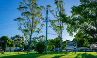 Book Dorrigo Accommodation Vacations Inverell Accommodation Inverell Accommodation