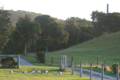 Driftwood Villas - Inverell Accommodation 1