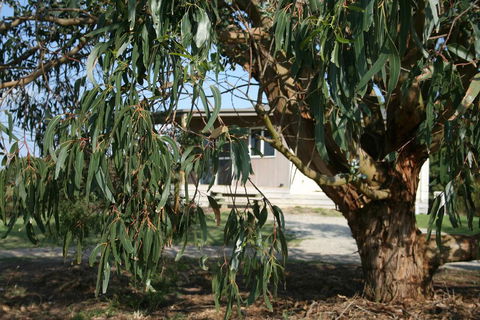 Driftwood Villas - Inverell Accommodation 3