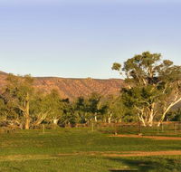 Edeowie Station - Inverell Accommodation