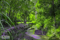 Book Esk Accommodation Vacations Inverell Accommodation Inverell Accommodation