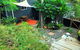 Eumundi Cottage In Town - thumb 2