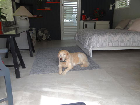 Eumundi Yacht Club B&B - Inverell Accommodation 1