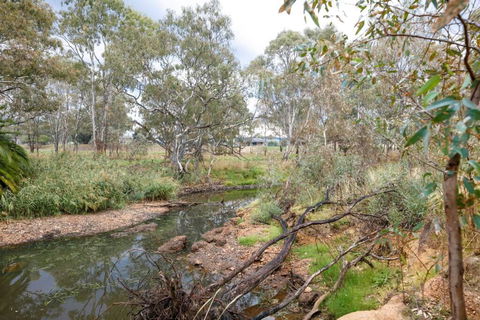 Faraday On Avoca - Inverell Accommodation 3