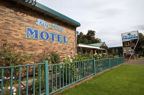 Fig Tree Motel - Inverell Accommodation 2