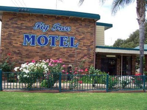 Fig Tree Motel - Inverell Accommodation 1