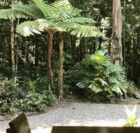 Forest Views Daintree - Inverell Accommodation