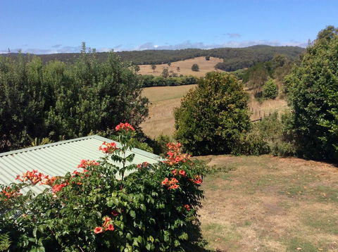Forrest Blue Wren Studio - Inverell Accommodation 1