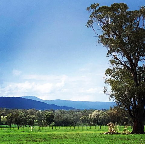 Fourjay Farmstay - Inverell Accommodation 0
