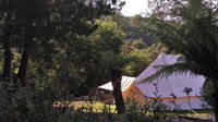 Book Zeehan Accommodation Vacations Inverell Accommodation Inverell Accommodation