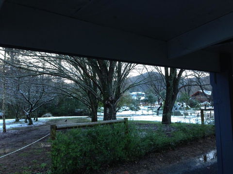 Goldberryaccommodation - Inverell Accommodation 3