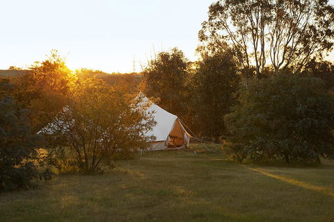 Goldfield Glamping - Inverell Accommodation 2