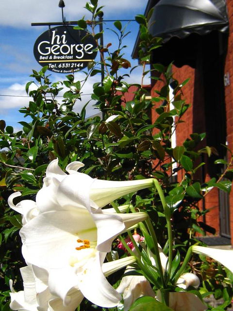 Hi George B&B - Inverell Accommodation 1