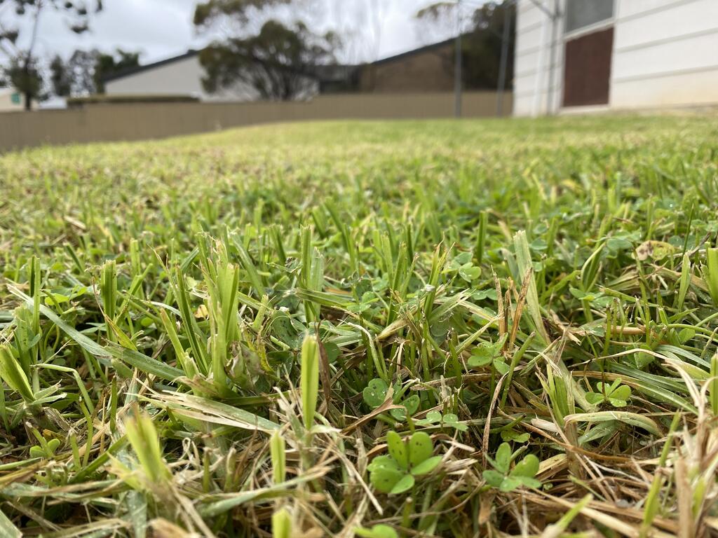 Coomandook SA Inverell Accommodation