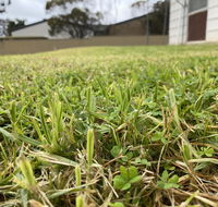 Karoonda Accommodation - Inverell Accommodation