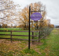 King River Cottage - Inverell Accommodation
