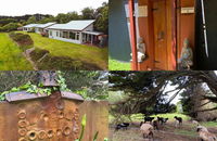 Book Kongwak Accommodation Vacations Inverell Accommodation Inverell Accommodation