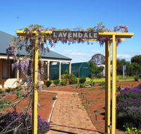 Lavendale Farmstay and Cottages York - Inverell Accommodation