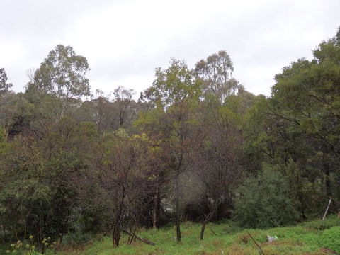 Mandall Avenue - Inverell Accommodation 2